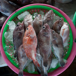 Similar image 8098603