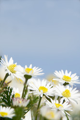 Similar image 8098611