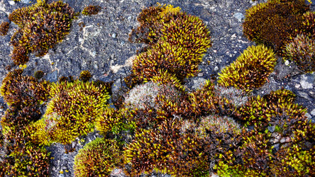 Similar image 8098619