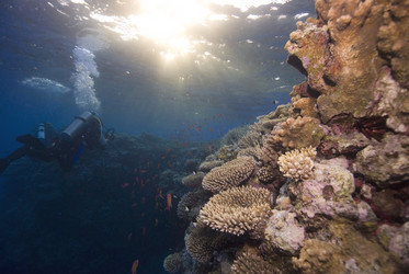 Similar image 8098620