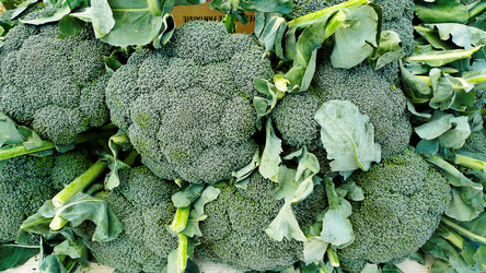 Similar image 8098622