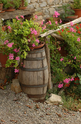 Similar image 8098626