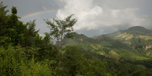 Similar image 8098628