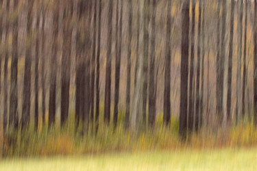 Similar image 8098638