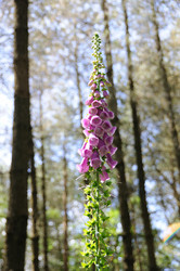 Similar image 8098648