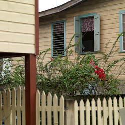 Similar image 8098660