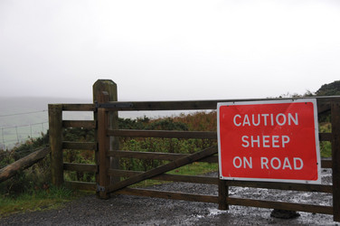 Similar image 8098661