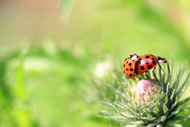 Similar image 8098663