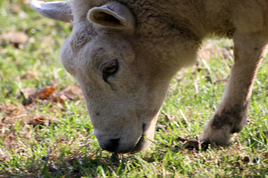 Similar image 8098674