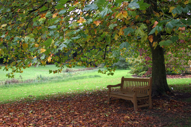 Similar image 8098675