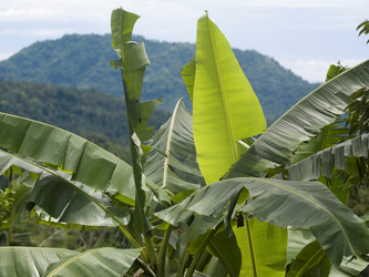 Similar image 8098677