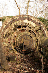 Similar image 8098690