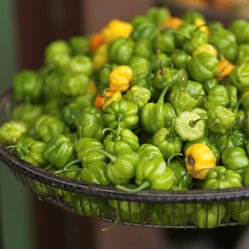 Similar image 8098696