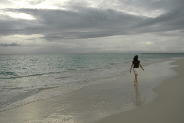 Similar image 8098702