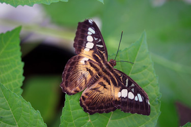 Similar image 8098710