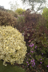 Similar image 8098711