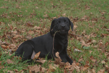 Similar image 8098716