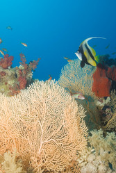 Similar image 8098727