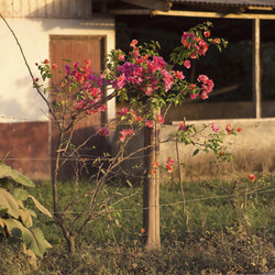 Similar image 8098729