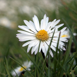 Similar image 8098733