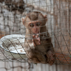 Similar image 8098738