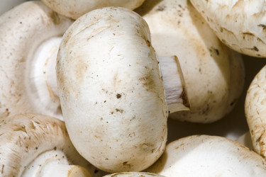 Similar image 8098739