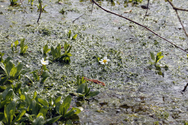 Similar image 8098746