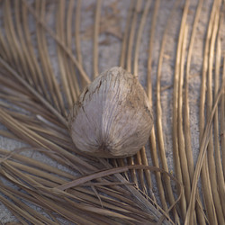 Similar image 8098747