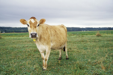 Similar image 8098749