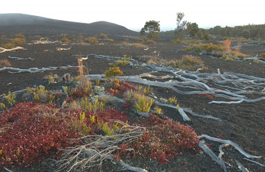 Similar image 8098751