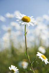 Similar image 8098758