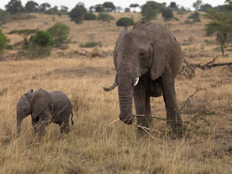 Similar image 8098771