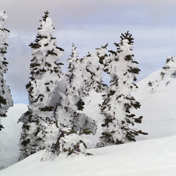 Similar image 8098774