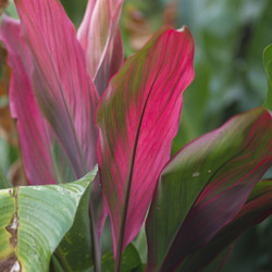 Similar image 8098785