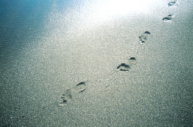 Similar image 8098804