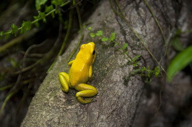 Similar image 8098816