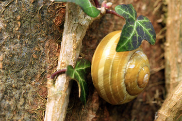 Similar image 8098817