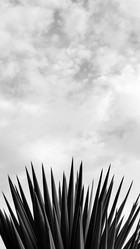 Similar image 8098821