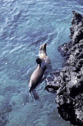 Similar image 8098823