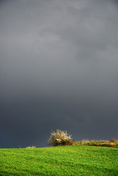 Similar image 8098840