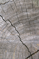 Similar image 8098842