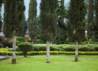 Similar image 8098845