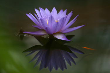 Similar image 8098848