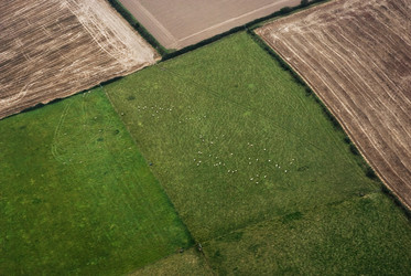 Similar image 8098852