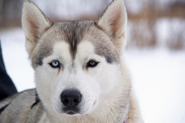 Similar image 8098858