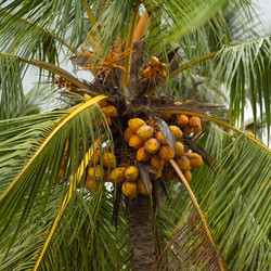 Similar image 8098862