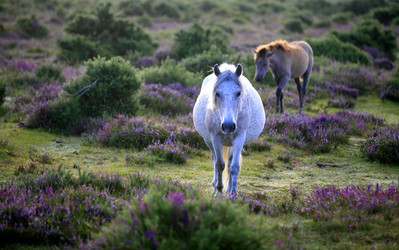 Similar image 8098866