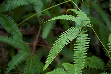 Similar image 8098868