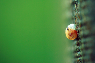 Similar image 8098870