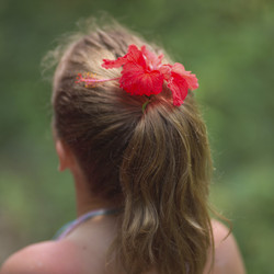 Similar image 8098876